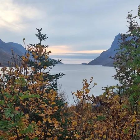 Apartment Koselig Naer Sentrum *