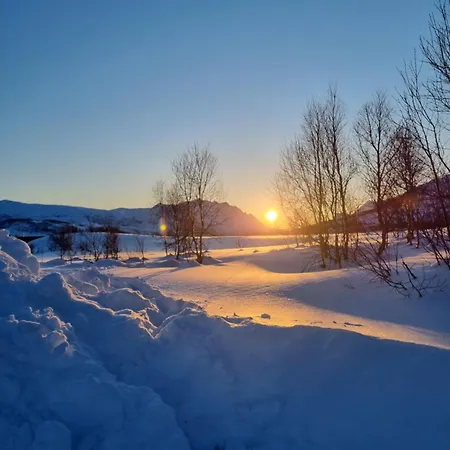 Koselig Naer Sentrum Apartment *