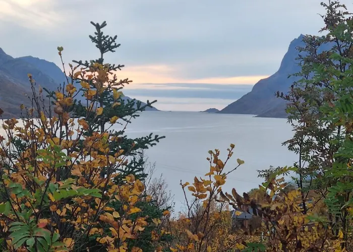 Apartamento Koselig Naer Sentrum *