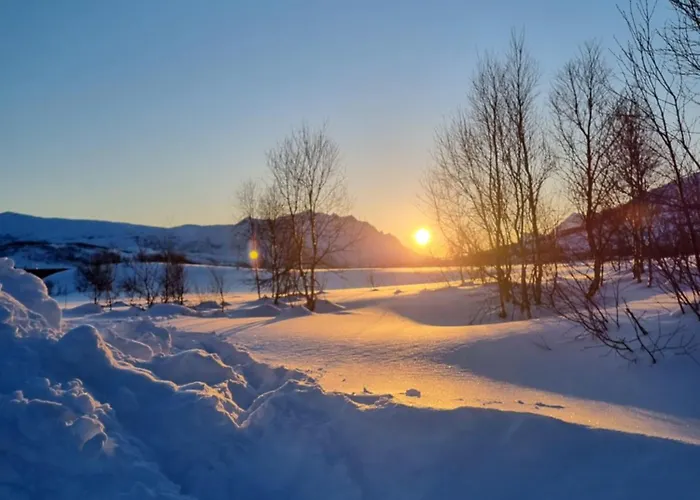 Koselig Naer Sentrum Apartamento *