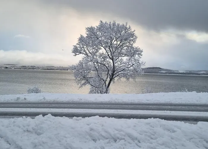 Koselig Naer Sentrum Tromsø